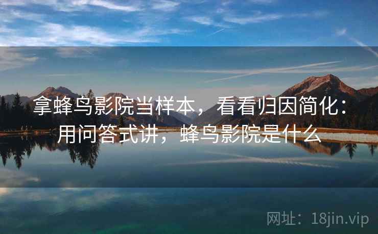 拿蜂鸟影院当样本，看看归因简化：用问答式讲，蜂鸟影院是什么  第1张